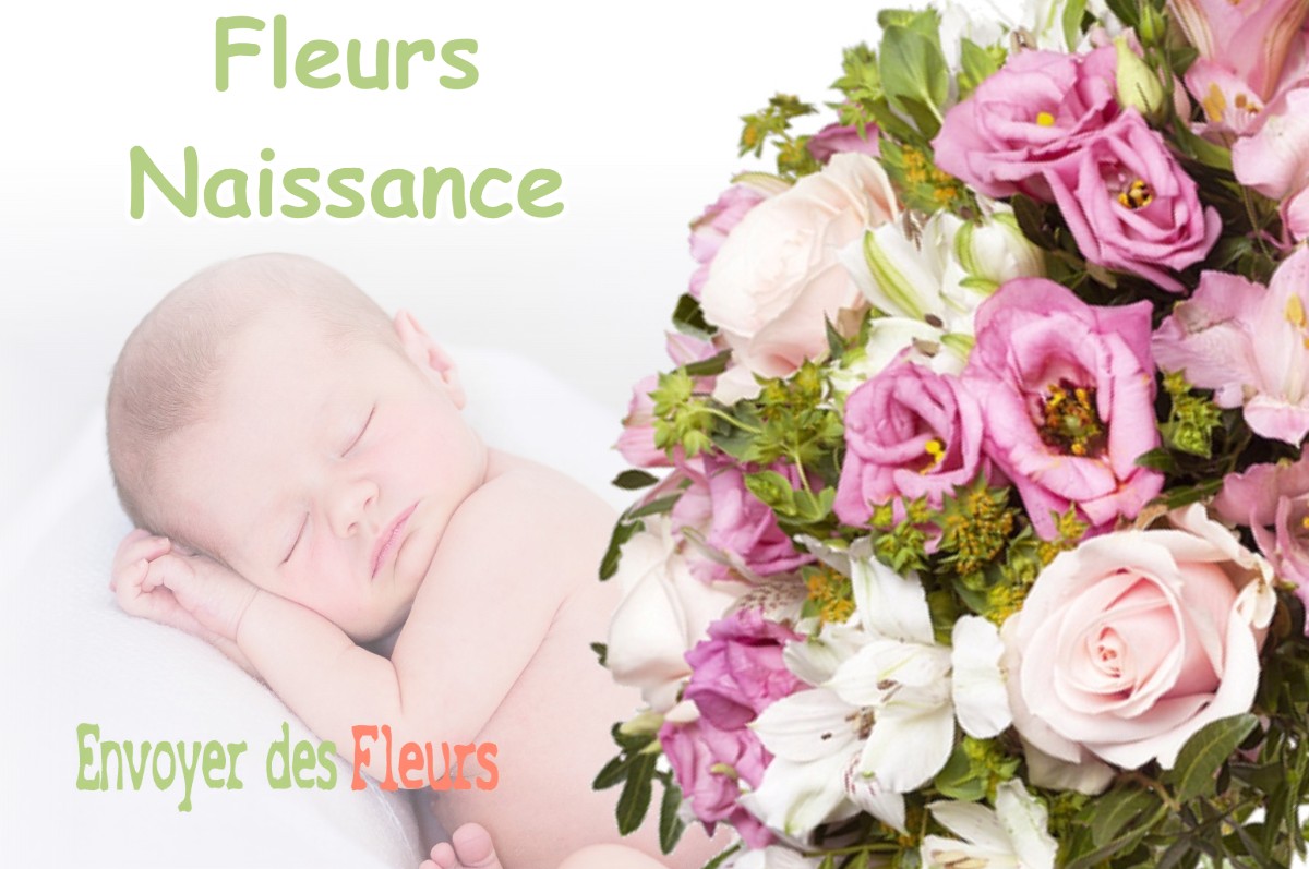 lIVRAISON FLEURS NAISSANCE à VERCIA